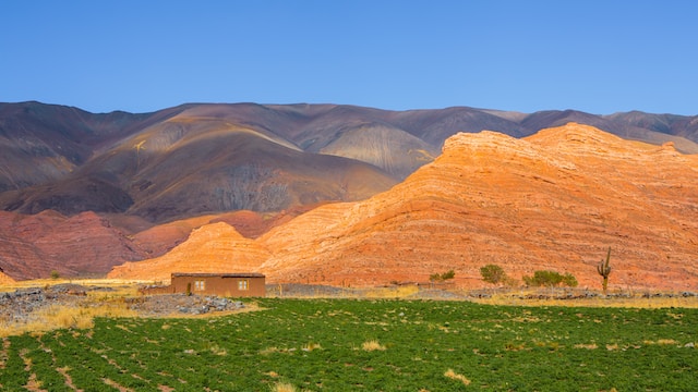 agricultura de precisão